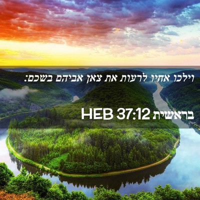 Picture 02 - בראשית 37:12 HEB - וילכו אחיו לרעות את צאן - Bible Verse Picture