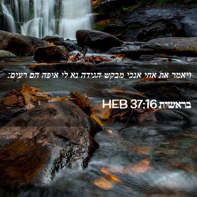 Picture 02 - בראשית 37:16 HEB - ויאמר את אחי אנכי מבקש - Bible Verse Picture