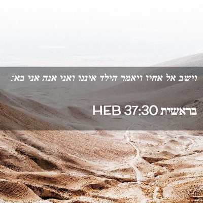 Picture 02 - בראשית 37:30 HEB - וישב אל אחיו ויאמר הילד - Bible Verse Picture