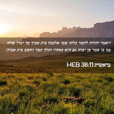 Picture 02 - בראשית 38:11 HEB - ויאמר יהודה לתמר כלתו שבי - Bible Verse Picture