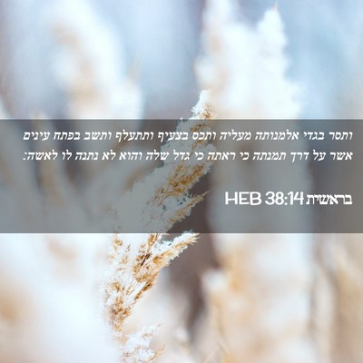 Picture 02 - בראשית 38:14 HEB - ותסר בגדי אלמנותה מעליה - Bible Verse Picture