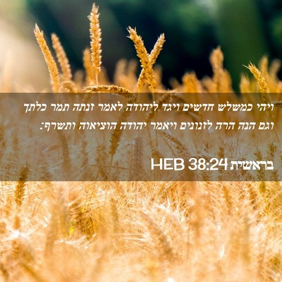 Picture 02 - בראשית 38:24 HEB - ויהי כמשלש חדשים ויגד - Bible Verse Picture