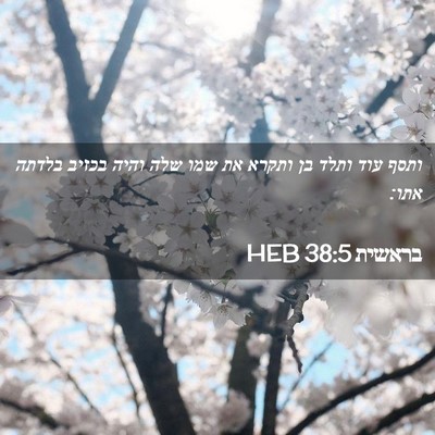 Picture 02 - בראשית 38:5 HEB - ותסף עוד ותלד בן ותקרא את - Bible Verse Picture