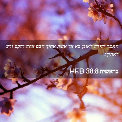 Picture 02 - בראשית 38:8 HEB - ויאמר יהודה לאונן בא אל אשת - Bible Verse Picture