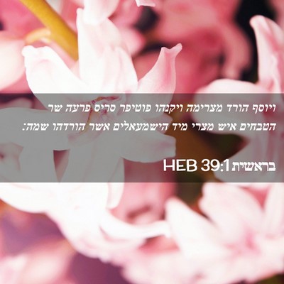 Picture 02 - בראשית 39:1 HEB - ויוסף הורד מצרימה ויקנהו - Bible Verse Picture