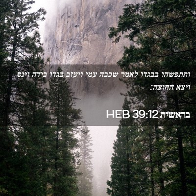 Picture 02 - בראשית 39:12 HEB - ותתפשהו בבגדו לאמר שכבה - Bible Verse Picture