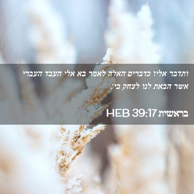 Picture 02 - בראשית 39:17 HEB - ותדבר אליו כדברים האלה - Bible Verse Picture
