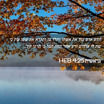 Picture 02 - בראשית 4:25 HEB - וידע אדם עוד את אשתו ותלד - Bible Verse Picture