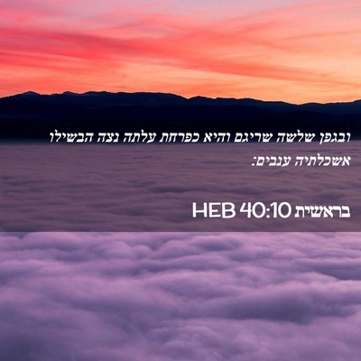 Picture 02 - בראשית 40:10 HEB - ובגפן שלשה שריגם והיא - Bible Verse Picture