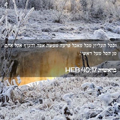 Picture 02 - בראשית 40:17 HEB - ובסל העליון מכל מאכל פרעה - Bible Verse Picture