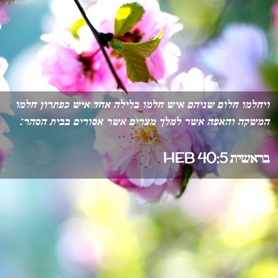 Picture 02 - בראשית 40:5 HEB - ויחלמו חלום שניהם איש חלמו - Bible Verse Picture