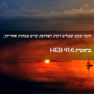 Picture 02 - בראשית 41:6 HEB - והנה שבע שבלים דקות ושדופת - Bible Verse Picture