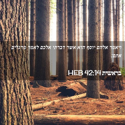 Picture 02 - בראשית 42:14 HEB - ויאמר אלהם יוסף הוא אשר - Bible Verse Picture