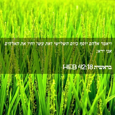 Picture 02 - בראשית 42:18 HEB - ויאמר אלהם יוסף ביום - Bible Verse Picture