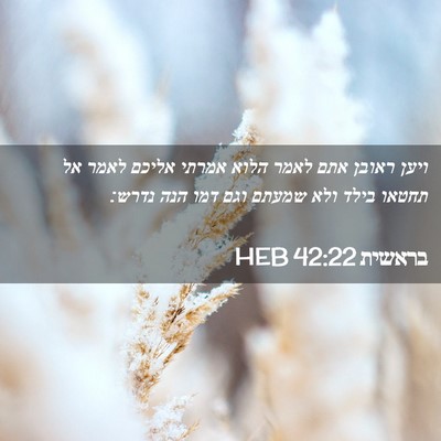 Picture 02 - בראשית 42:22 HEB - ויען ראובן אתם לאמר הלוא - Bible Verse Picture