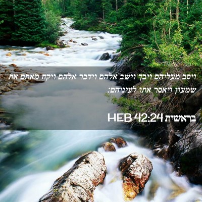 Picture 02 - בראשית 42:24 HEB - ויסב מעליהם ויבך וישב אלהם - Bible Verse Picture