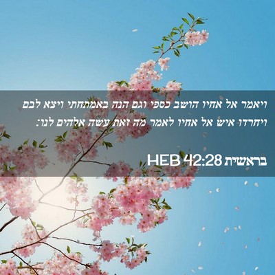 Picture 02 - בראשית 42:28 HEB - ויאמר אל אחיו הושב כספי וגם - Bible Verse Picture