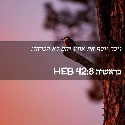 Picture 02 - בראשית 42:8 HEB - ויכר יוסף את אחיו והם לא - Bible Verse Picture