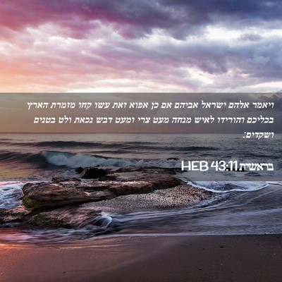 Picture 02 - בראשית 43:11 HEB - ויאמר אלהם ישראל אביהם אם - Bible Verse Picture