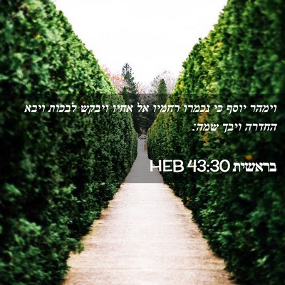 Picture 02 - בראשית 43:30 HEB - וימהר יוסף כי נכמרו רחמיו - Bible Verse Picture
