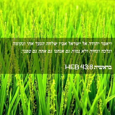 Picture 02 - בראשית 43:8 HEB - ויאמר יהודה אל ישראל אביו - Bible Verse Picture