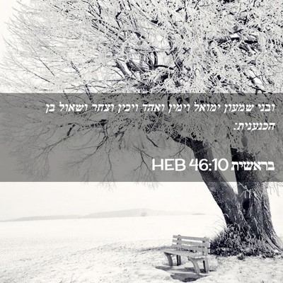 Picture 02 - בראשית 46:10 HEB - ובני שמעון ימואל וימין - Bible Verse Picture