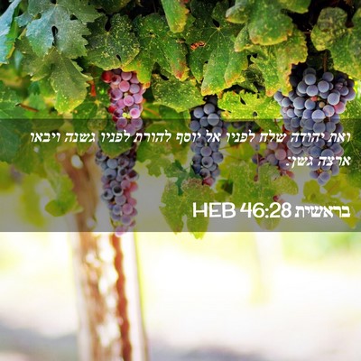 Picture 02 - בראשית 46:28 HEB - ואת יהודה שלח לפניו אל יוסף - Bible Verse Picture