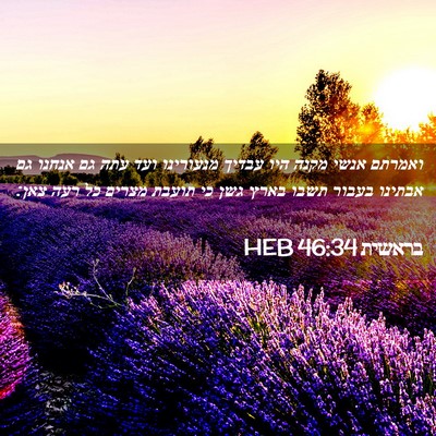 Picture 02 - בראשית 46:34 HEB - ואמרתם אנשי מקנה היו עבדיך - Bible Verse Picture