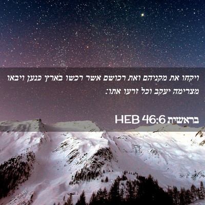 Picture 02 - בראשית 46:6 HEB - ויקחו את מקניהם ואת רכושם - Bible Verse Picture
