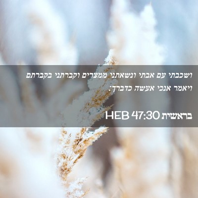 Picture 02 - בראשית 47:30 HEB - ושכבתי עם אבתי ונשאתני - Bible Verse Picture
