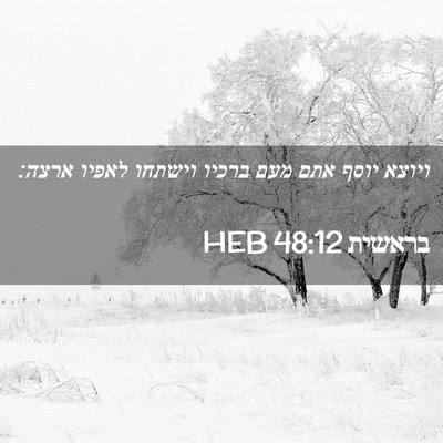 Picture 02 - בראשית 48:12 HEB - ויוצא יוסף אתם מעם ברכיו - Bible Verse Picture