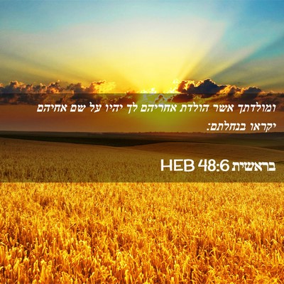 Picture 02 - בראשית 48:6 HEB - ומולדתך אשר הולדת אחריהם - Bible Verse Picture