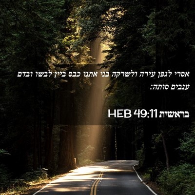 Picture 02 - בראשית 49:11 HEB - אסרי לגפן עירה ולשרקה בני - Bible Verse Picture