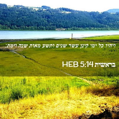 Picture 02 - בראשית 5:14 HEB - ויהיו כל ימי קינן עשר שנים - Bible Verse Picture