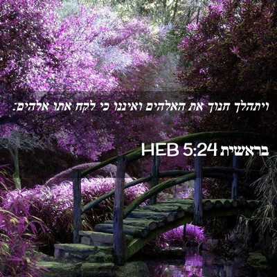 Picture 02 - בראשית 5:24 HEB - ויתהלך חנוך את האלהים - Bible Verse Picture