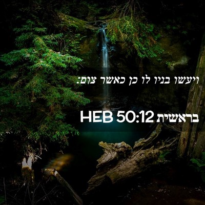 Picture 02 - בראשית 50:12 HEB - ויעשו בניו לו כן כאשר - Bible Verse Picture