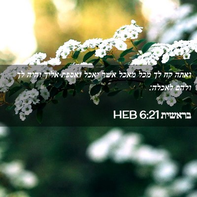 Picture 02 - בראשית 6:21 HEB - ואתה קח לך מכל מאכל אשר - Bible Verse Picture