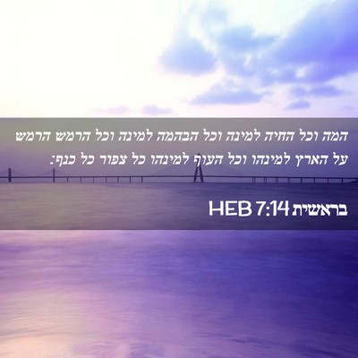 Picture 02 - בראשית 7:14 HEB - המה וכל החיה למינה וכל - Bible Verse Picture