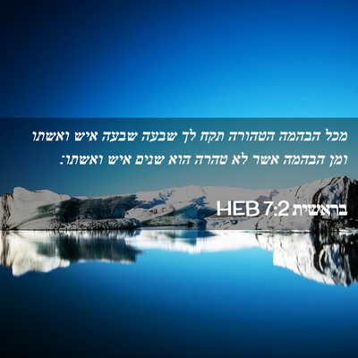 Picture 02 - בראשית 7:2 HEB - מכל הבהמה הטהורה תקח לך - Bible Verse Picture