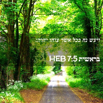 Picture 02 - בראשית 7:5 HEB - ויעש נח ככל אשר צוהו - Bible Verse Picture