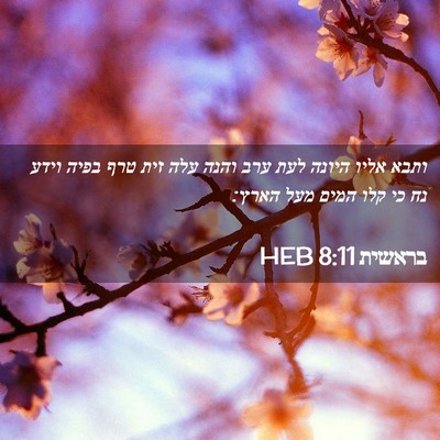 Picture 02 - בראשית 8:11 HEB - ותבא אליו היונה לעת ערב - Bible Verse Picture