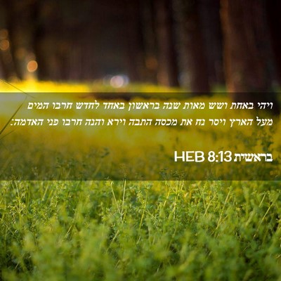 Picture 02 - בראשית 8:13 HEB - ויהי באחת ושש מאות שנה - Bible Verse Picture