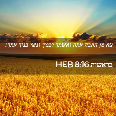 Picture 02 - בראשית 8:16 HEB - צא מן התבה אתה ואשתך ובניך - Bible Verse Picture