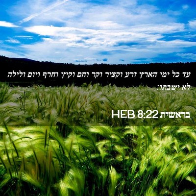 Picture 02 - בראשית 8:22 HEB - עד כל ימי הארץ זרע וקציר - Bible Verse Picture