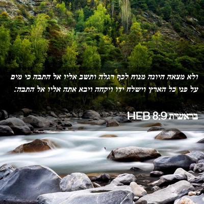 Picture 02 - בראשית 8:9 HEB - ולא מצאה היונה מנוח לכף - Bible Verse Picture