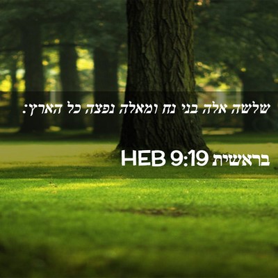 Picture 02 - בראשית 9:19 HEB - שלשה אלה בני נח ומאלה נפצה - Bible Verse Picture