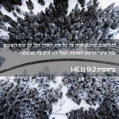 Picture 02 - בראשית 9:2 HEB - ומוראכם וחתכם יהיה על כל - Bible Verse Picture
