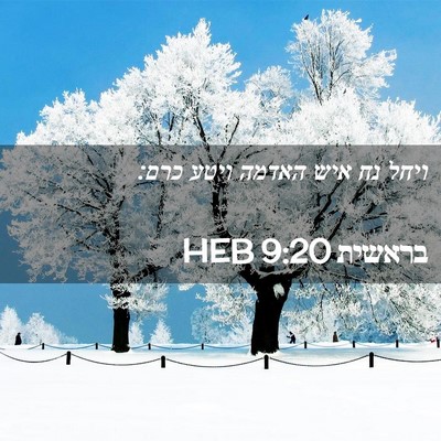 Picture 02 - בראשית 9:20 HEB - ויחל נח איש האדמה ויטע - Bible Verse Picture