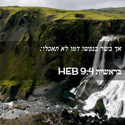 Picture 02 - בראשית 9:4 HEB - אך בשר בנפשו דמו לא - Bible Verse Picture