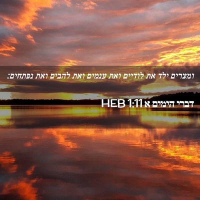 Picture 02 - דברי הימים א 1:11 HEB - ומצרים ילד את לודיים ואת - Bible Verse Picture